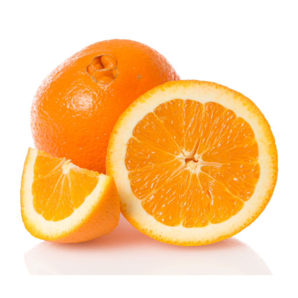 http://www.fourwindsgrowers.com/cdn/shop/files/newhall-navel-orange-tree-primo-size_1024x1024.jpg?v=1696875234