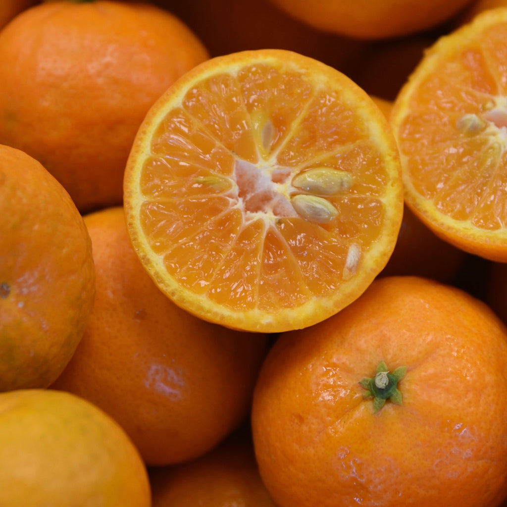 Honey-Sweet Tangerines