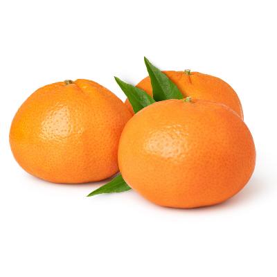 clementine citrus fruit