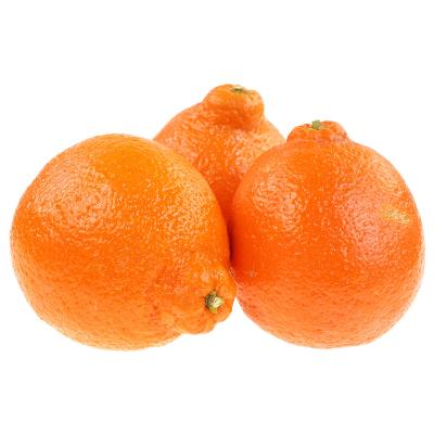 minneola tangelos