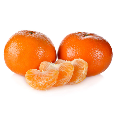 https://www.fourwindsgrowers.com/cdn/shop/files/w.-murcott-mandarin-tree-primo-size_large.jpg?v=1698254175