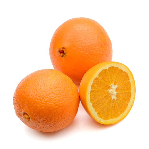 https://www.fourwindsgrowers.com/cdn/shop/files/washington-navel-orange-tree-primo-size-1_large.jpg?v=1695924133